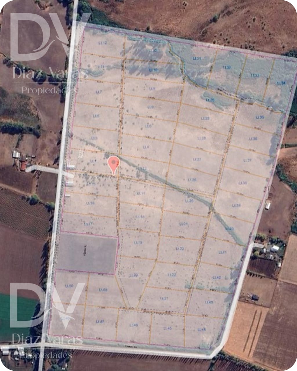 Imagen de WhatsApp 2024-11-20 a las 21.00.07_2b32bfe1