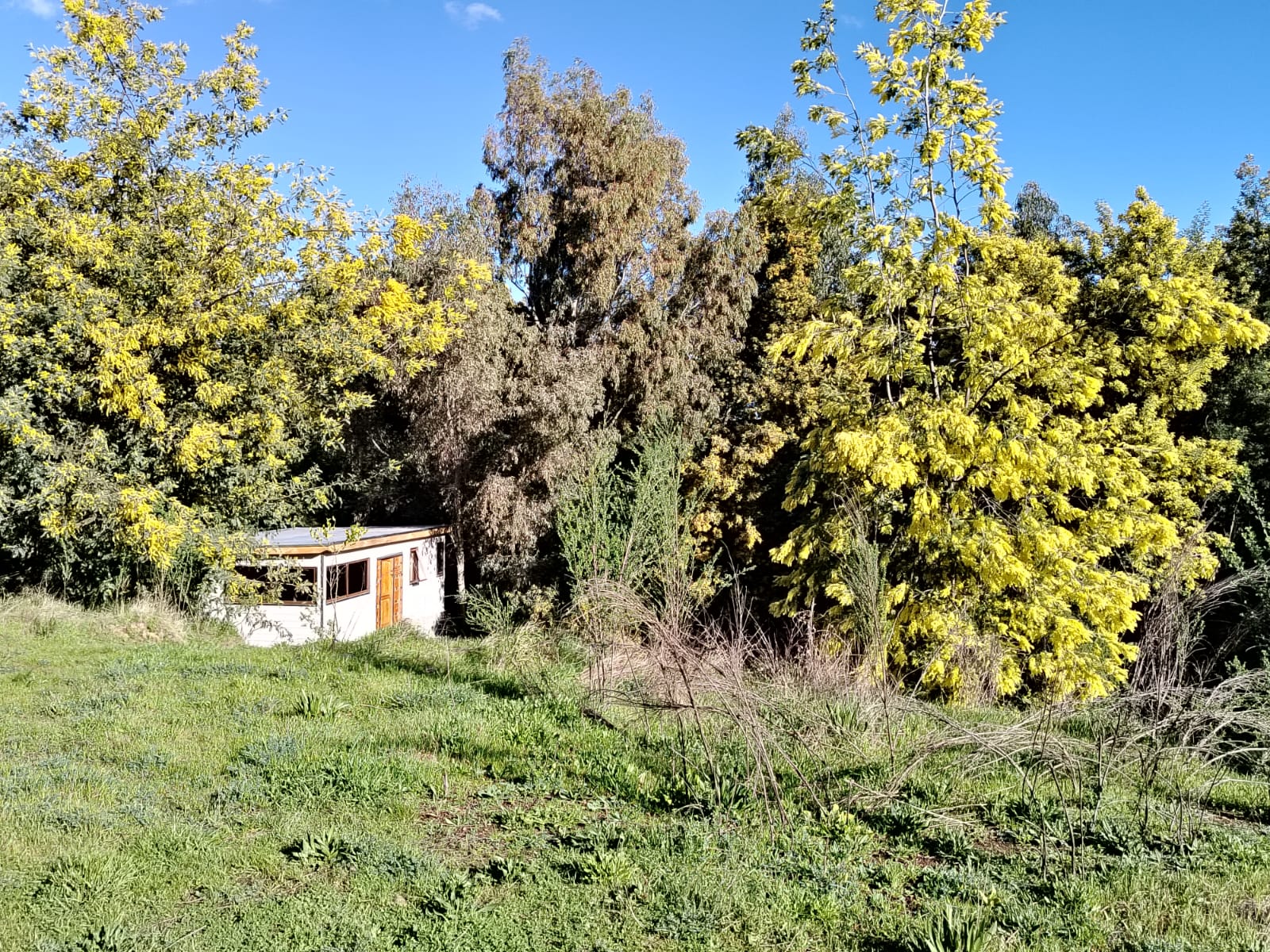 Imagen de WhatsApp 2025-08-23 a las 13.24.02_134c7d18