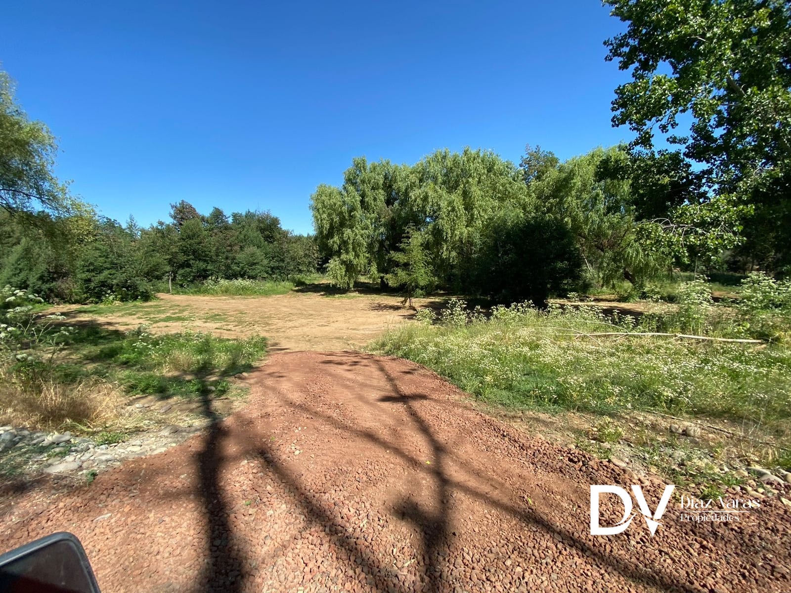 Imagen de WhatsApp 2025-11-05 a las 10.36.14_fbcbfdb8