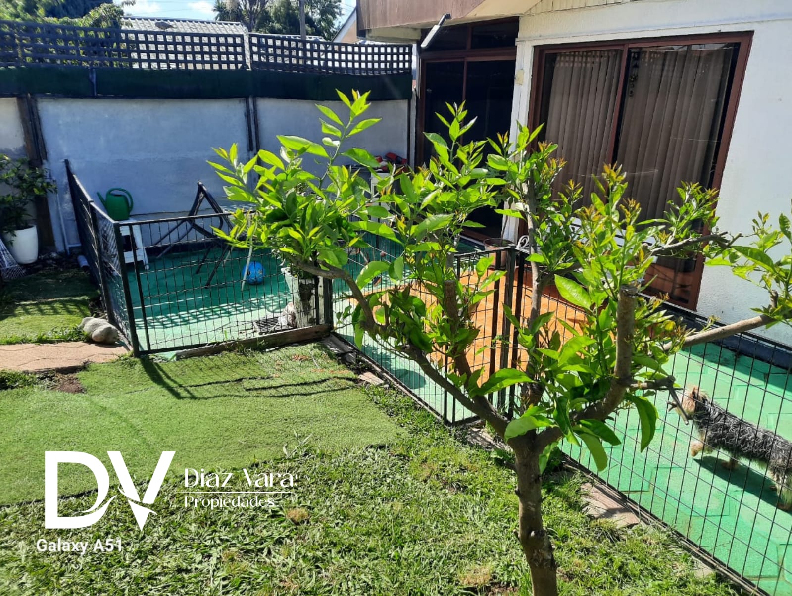 Imagen de WhatsApp 2025-11-11 a las 15.57.02_8421b59b