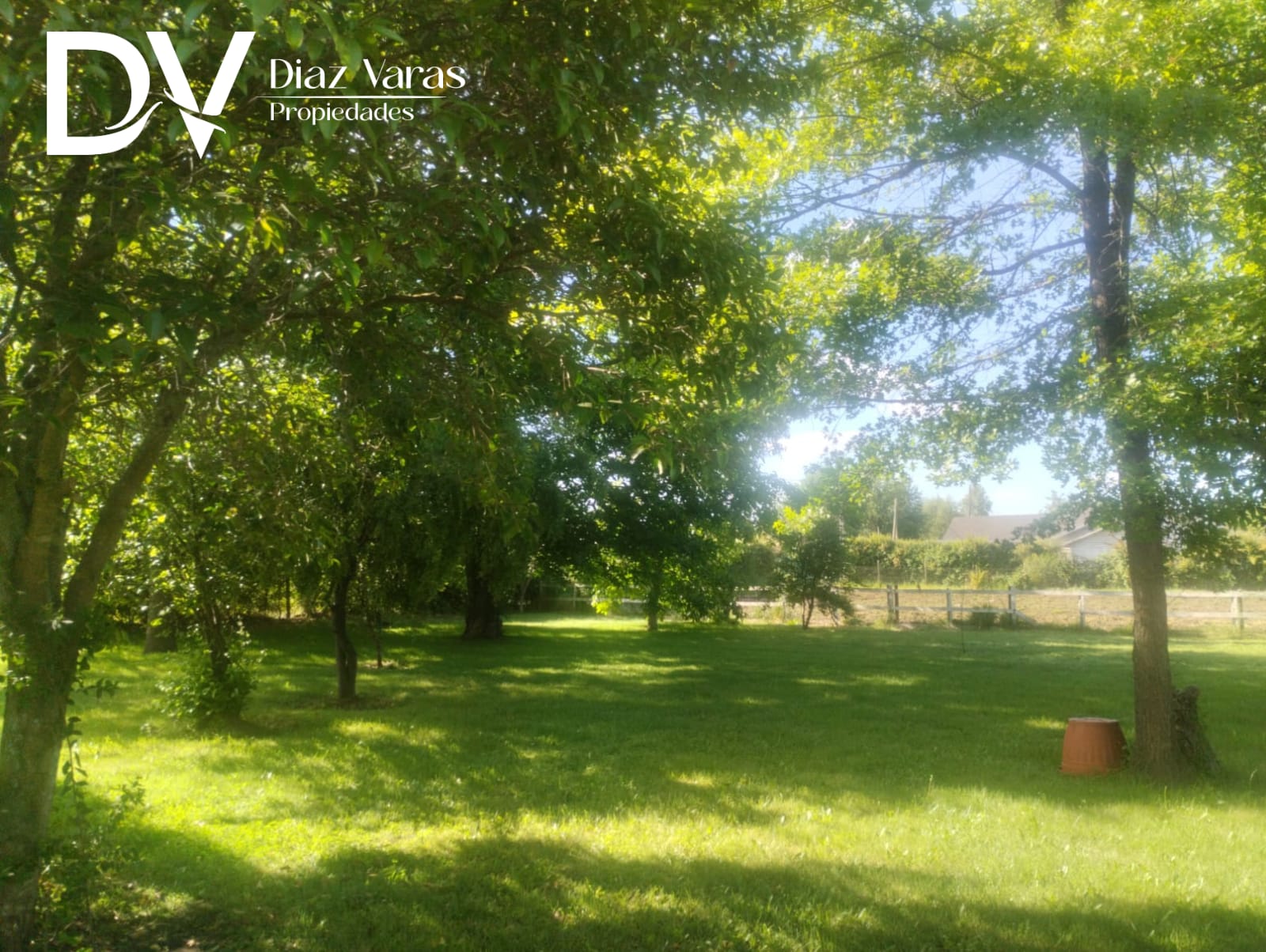 WhatsApp Image 2025-11-27 at 16.07.29