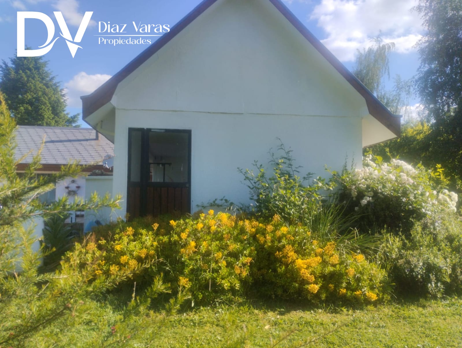 WhatsApp Image 2025-11-27 at 16.07.52