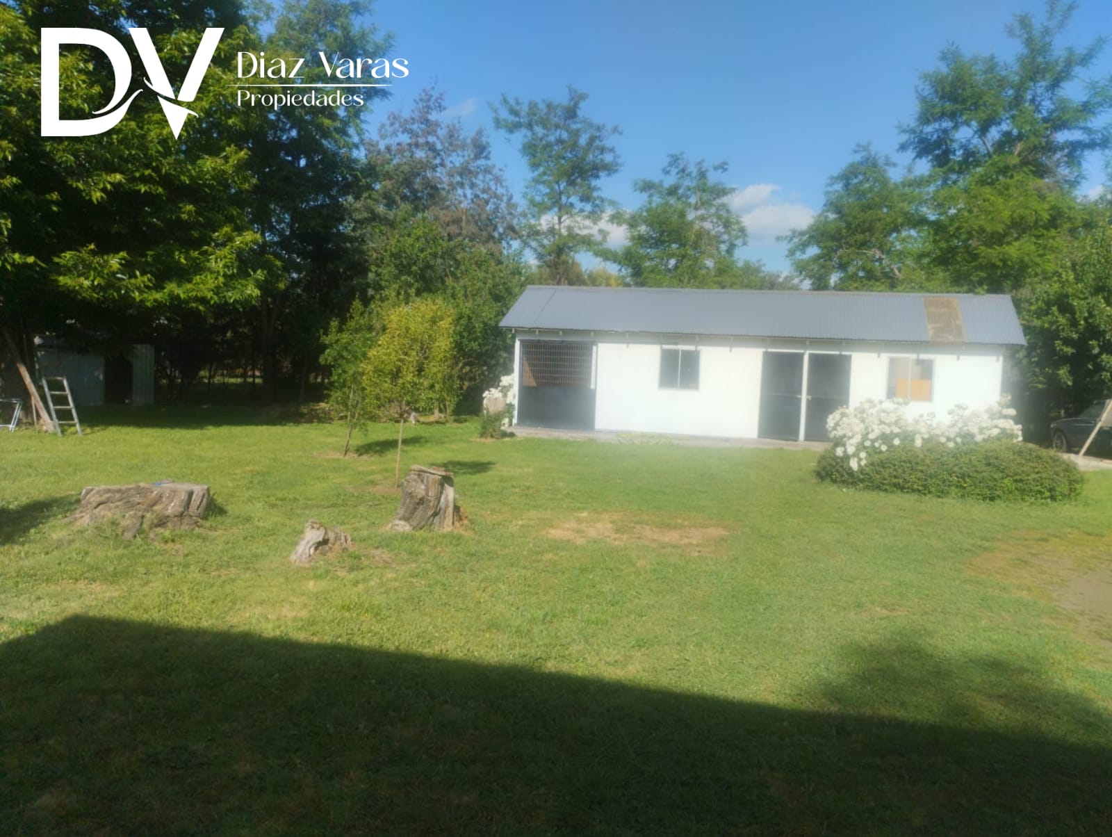 WhatsApp Image 2025-11-27 at 16.20.14