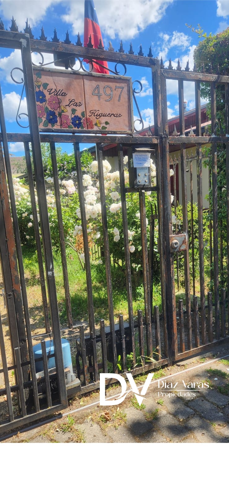 WhatsApp Image 2025-12-01 at 12.31.16